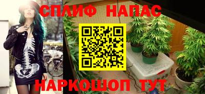 дурь Пугачёв