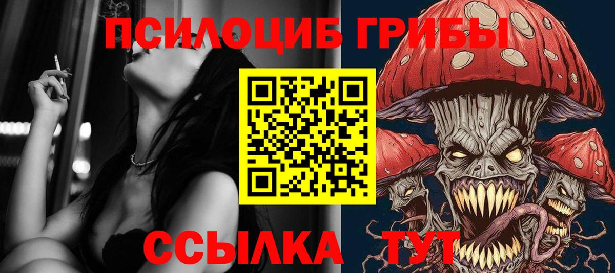 Приморско-Ахтарск  Галлюциногенные грибы ЛСД  наркошоп  Вход с VPN 