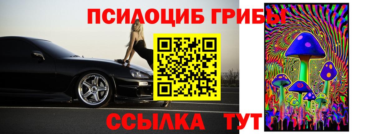 Псилоцибиновые грибы Psilocybe Приморско-Ахтарск